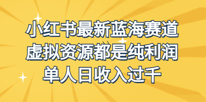 外面收费1980的小红书最新蓝海赛道，虚拟资源都是纯利润，单人日收入过千-网亿资源平台