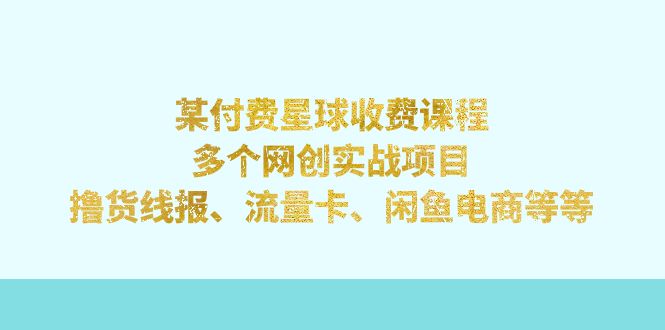 某付费星球课程：多个网创实战项目，撸货线报、流量卡、闲鱼电商等等-网亿资源平台
