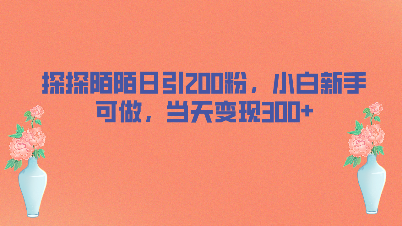 探探陌陌日引200粉，小白新手可做，当天就能变现300+-网亿资源平台