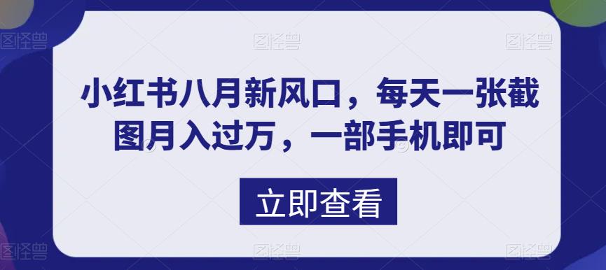 八月新风口，小红书虚拟项目一天收入1000+，实战揭秘-网亿资源平台