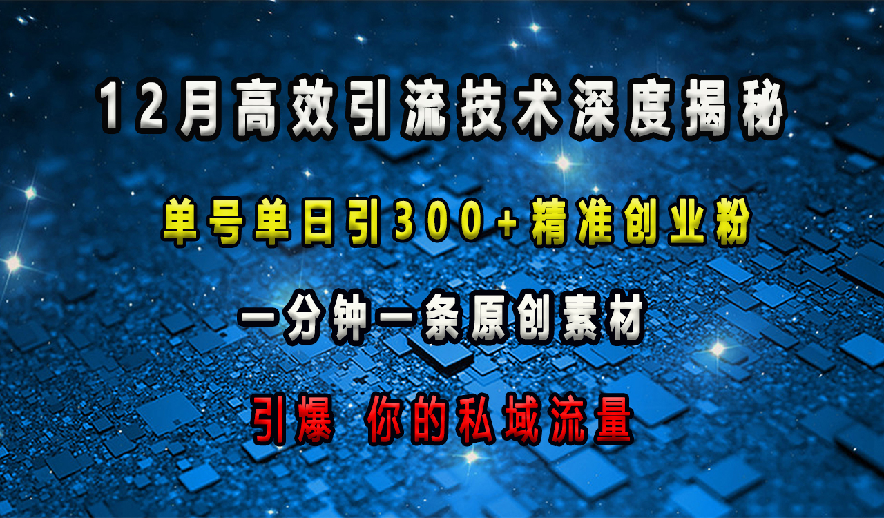 12月高效引流技术深度揭秘 ，单号单日引300+精准创业粉，一分钟一条原创素材，引爆你的私域流量-网亿资源平台
