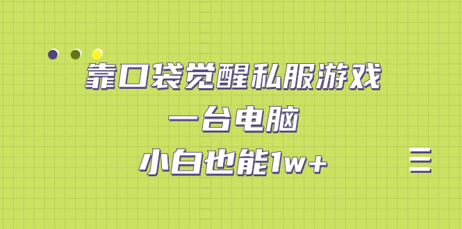 靠口袋觉醒私服游戏，一台电脑，小白也能1w+（教程+工具+资料）-网亿资源平台