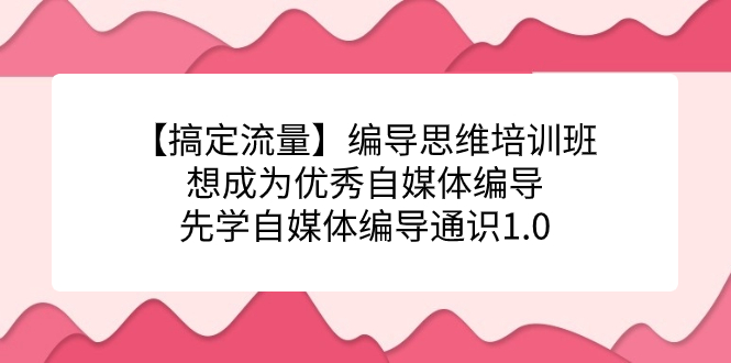 【搞定流量】编导思维培训班，想成为优秀自媒体编导先学自媒体编导通识1.0-网亿资源平台