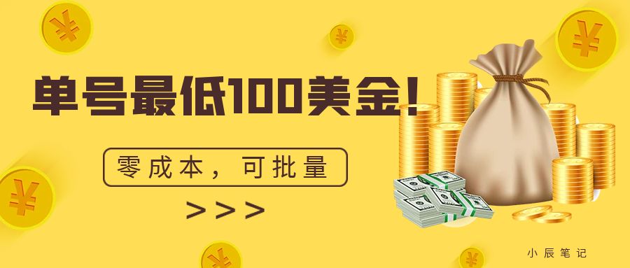 单号最低100美金，零成本，小白无脑操作。可复制，可扩大。-网亿资源平台