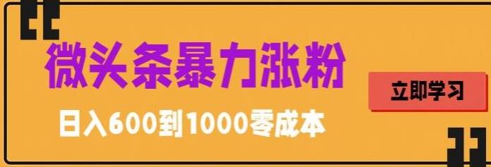 微头条暴力涨粉技巧搬运文案就能涨几万粉丝，简单0成本，日赚600-网亿资源平台