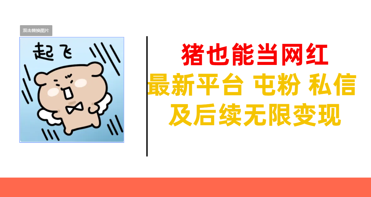猪也能当网红-最新平台 屯粉 交流 私信 及后续无限变现-网亿资源平台