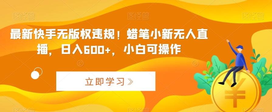 最新快手无版权违规！蜡笔小新无人直播，日入600+，小白可操作-网亿资源平台