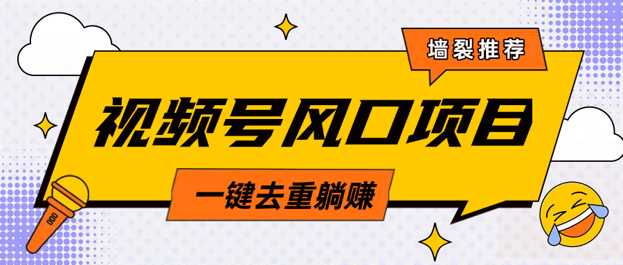 视频号风口蓝海项目，中老年人的流量密码，简单无脑，一键去重，轻松月入过万-网亿资源平台