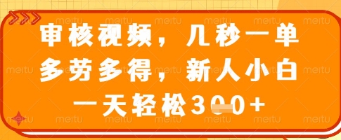 审核视频，几秒一单，多劳多得，新人小白一天轻松3张【揭秘】-网亿资源平台