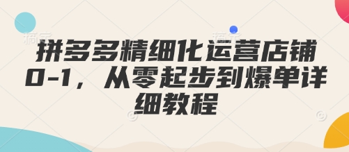 拼多多精细化运营店铺0-1，从零起步到爆单详细教程-网亿资源平台