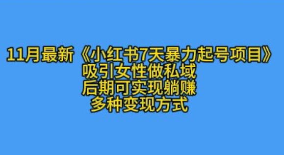 K总部落11月最新小红书7天暴力起号项目，吸引女性做私域【揭秘】-网亿资源平台