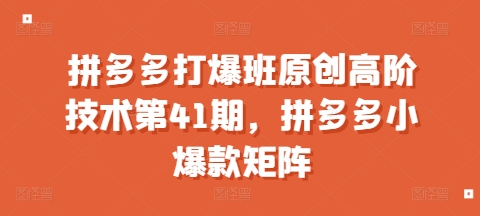 拼多多打爆班原创高阶技术第41期，拼多多小爆款矩阵-网亿资源平台