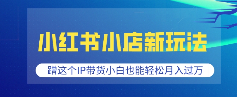 小红书小店新玩法，蹭这个IP带货，小白也能轻松月入过W【揭秘】-网亿资源平台