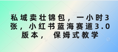 私域卖壮锦包，一小时3张，小红书蓝海赛道3.0版本， 保姆式教学-网亿资源平台