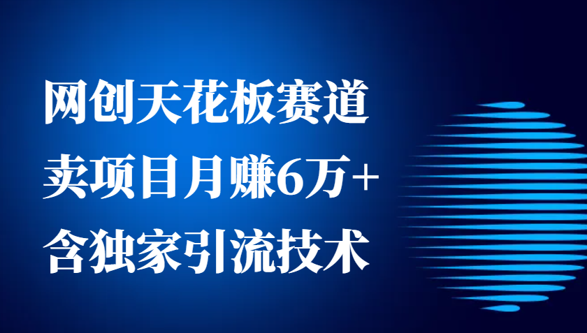 网创天花板赛道，卖项目月赚6万+，含独家引流技术(共26节课)-网亿资源平台
