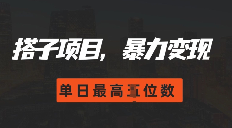 2024搭子玩法，0门槛，暴力变现，单日最高破四位数【揭秘】-网亿资源平台