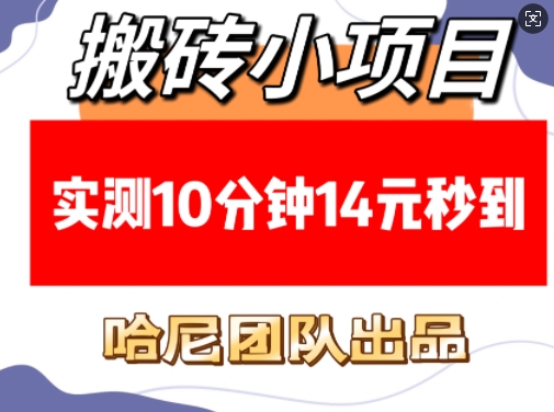 搬砖小项目，实测10分钟14元秒到，每天稳定几张(赠送必看稳定)-网亿资源平台