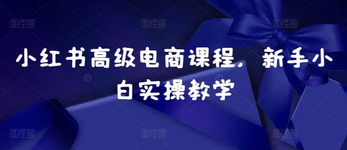 小红书高级电商课程，新手小白实操教学-网亿资源平台