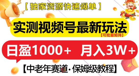 实测视频号最新玩法，中老年赛道，独家资源，月入过W+【揭秘】-网亿资源平台