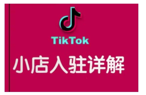 TikTok跨境小店运营全攻略，帮助你独立运营TK跨境小店的能力，实现销量增长-网亿资源平台