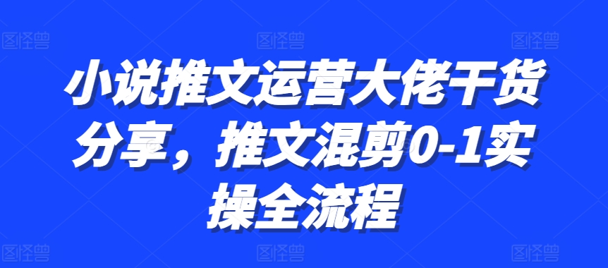 小说推文运营大佬干货分享，推文混剪0-1实操全流程-网亿资源平台
