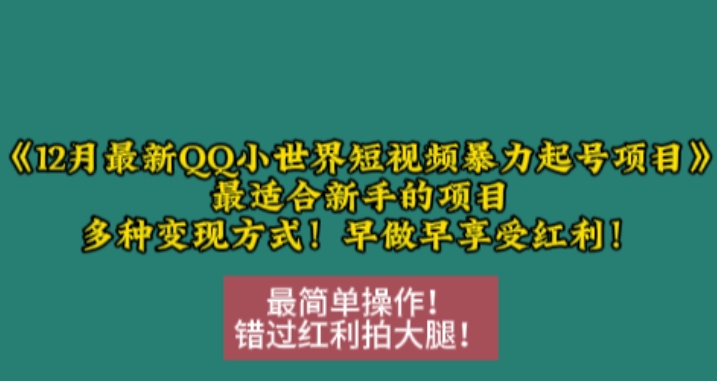 12月最新QQ小世界短视频暴力起号项目，最适合新手的项目，多种变现方式-网亿资源平台