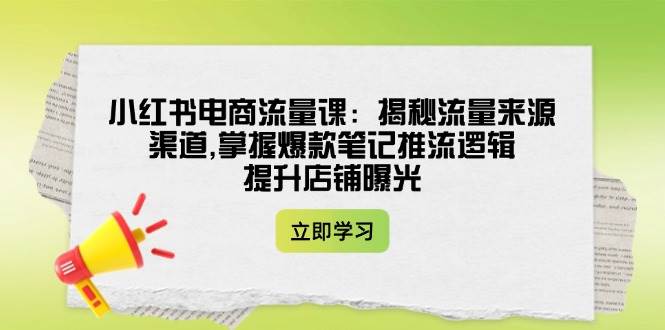 小红书电商流量课：揭秘流量来源渠道,掌握爆款笔记推流逻辑,提升店铺曝光-网亿资源平台