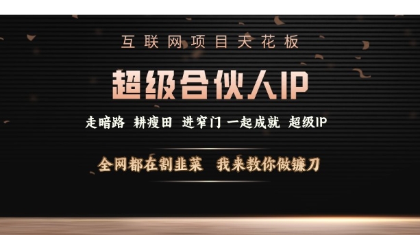 互联网项目天花板，超级合伙人IP，全网都在割韭菜，我来教你做镰刀【仅揭秘】-网亿资源平台
