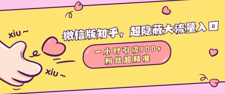 微信版知乎，超隐蔽流量入口1小时引流100人，粉丝质量超高【揭秘】-网亿资源平台