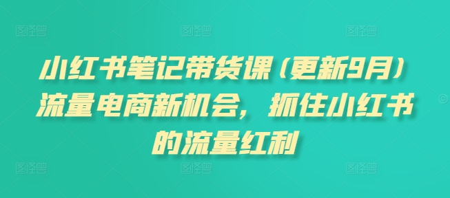 小红书笔记带货课(更新25年2月)流量电商新机会，抓住小红书的流量红利-网亿资源平台