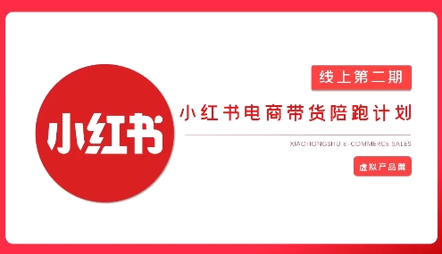 2025小红书虚拟电商实战课，从0到1打造无货源店铺，AI+爆款笔记轻松变现-网亿资源平台