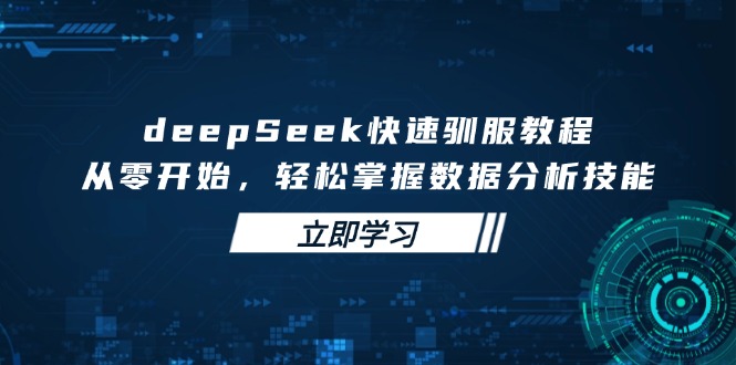 deepSeek快速驯服教程，从零开始，轻松掌握数据分析技能-网亿资源平台