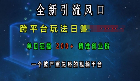 全新引流风口，跨平台玩法日入上k，单日狂揽200+精准创业粉，一个被严重忽略的视频平台-网亿资源平台