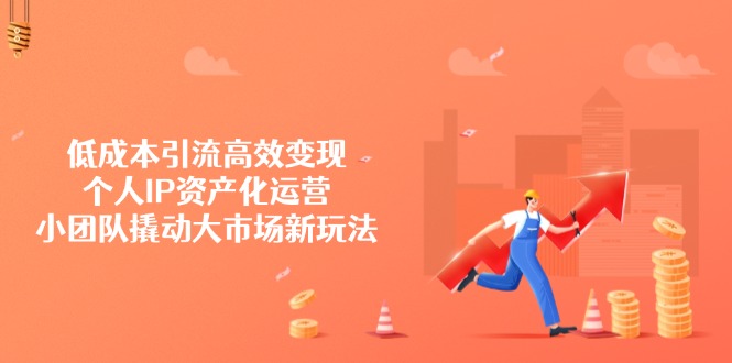 低成本引流高效变现，个人IP资产化运营，小团队撬动大市场新玩法-网亿资源平台