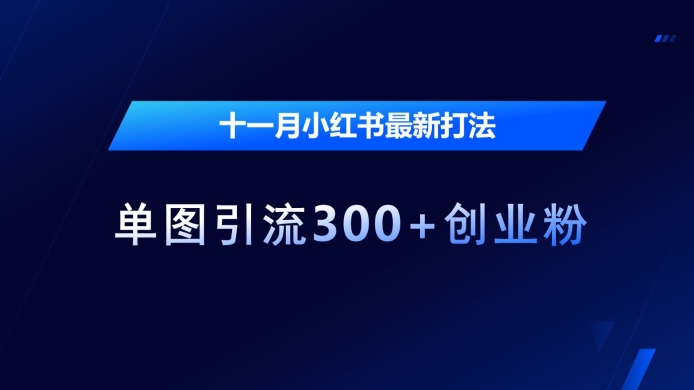 十一月小红书最新打法，单图引流300+创业粉【揭秘】-网亿资源平台