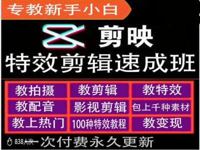 剪映特效教程和运营变现教程，特效剪辑速成班，专教新手小白-网亿资源平台