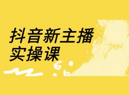 抖音新主播实操课，直播间流量运营线上实操课(18节)-网亿资源平台