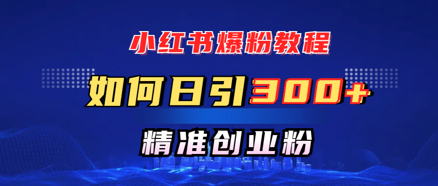 小红书爆粉教程，如何日引300+创业粉，快速实现精准变现！-网亿资源平台