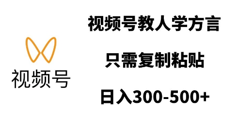 视频号教人学方言，只需复制粘贴，日入多张-网亿资源平台