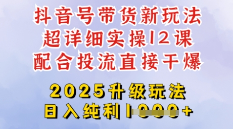 2025全新升级抖音带货玩法，一天纯利四位数，从剪辑到选品再到发布投流，超详细玩法揭秘-网亿资源平台
