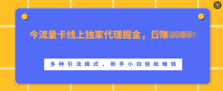 流量卡线上独家代理掘金，日入1k+ ，多种引流模式，新手小白轻松上手【揭秘】-网亿资源平台