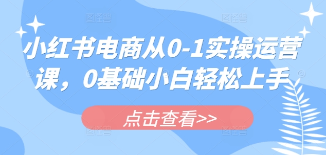 小红书电商从0-1实操运营课，0基础小白轻松上手-网亿资源平台