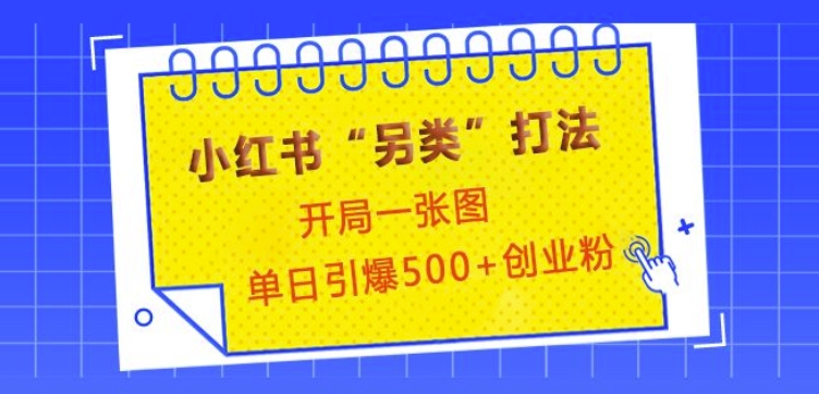 小红书“另类”打法，开局一张图，单日引爆500+精准创业粉【揭秘】-网亿资源平台