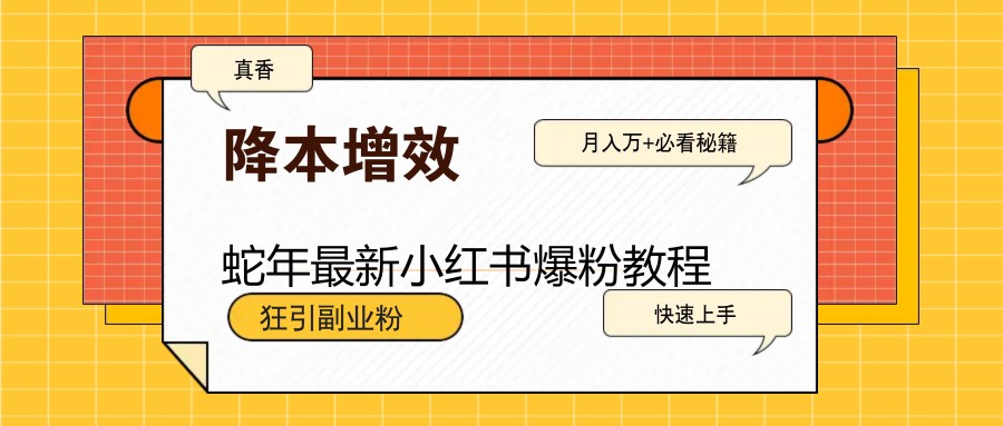 蛇年最新小红书爆粉教程，狂引副业粉，月入万+必看-网亿资源平台