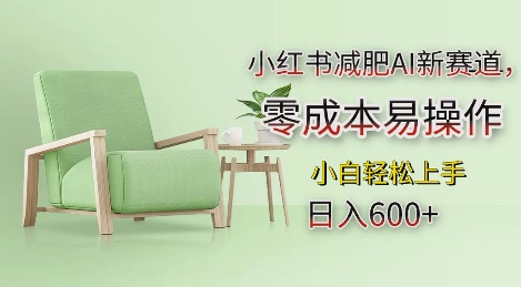 小红书减肥AI新赛道，零成本易操作，日入多张，小白轻松上手【揭秘】-网亿资源平台