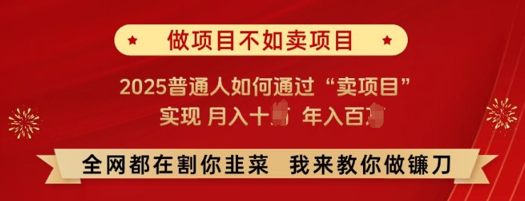 必看!做项目不如卖项目，2025普通人如何通过“卖项目”实现月入十个，年入百个【揭秘】-网亿资源平台