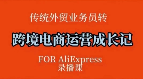 跨境电商速卖通运营课，​运营方法论+后台实操，逻辑清晰-网亿资源平台