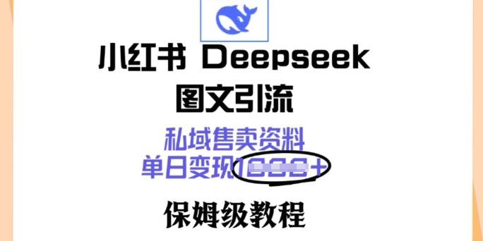 小红书Deepseek图文引流，私域售卖资料，单日变现多张，保姆级教程-网亿资源平台