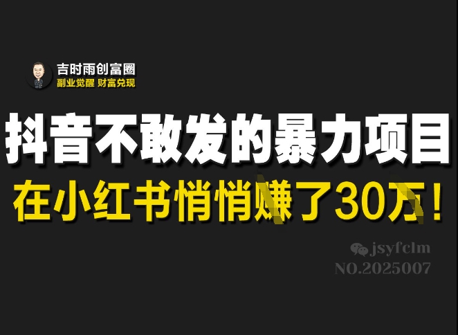 抖音不敢发的暴利项目，在小红书悄悄挣了30W-网亿资源平台