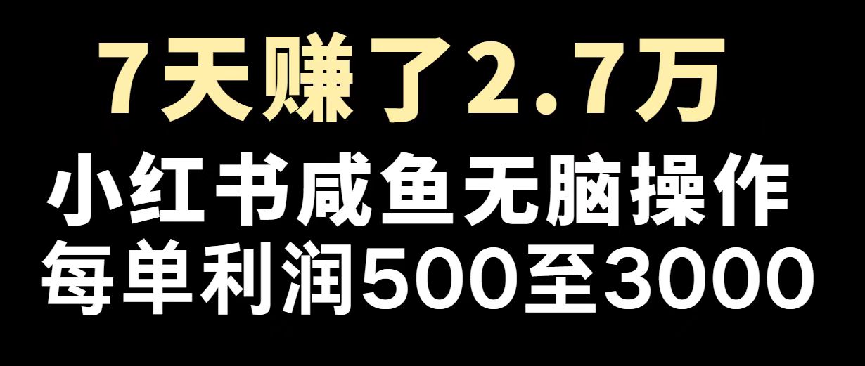 （14183期）最赚钱项目之一，2025爆火，逆风翻盘！-网亿资源平台